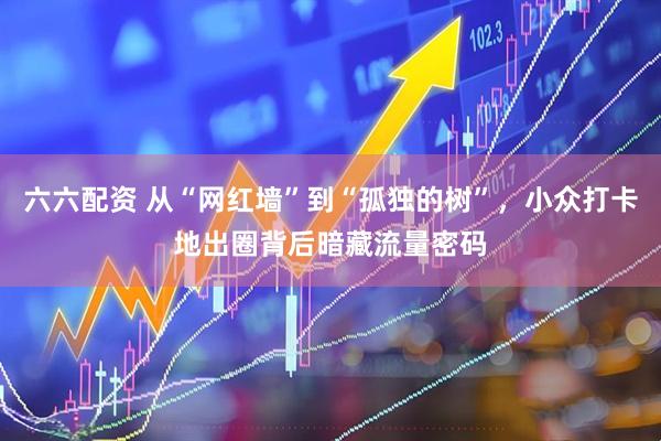 六六配资 从“网红墙”到“孤独的树”，小众打卡地出圈背后暗藏流量密码