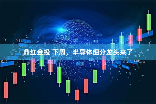 鼎红金投 下周，半导体细分龙头来了