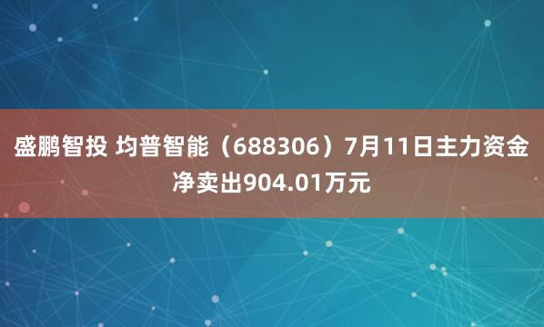 盛鹏智投 均普智能（688306）7月11日主力资金净卖出904.01万元