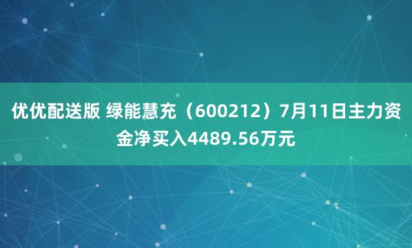优优配送版 绿能慧充（600212）7月11日主力资金净买入4489.56万元