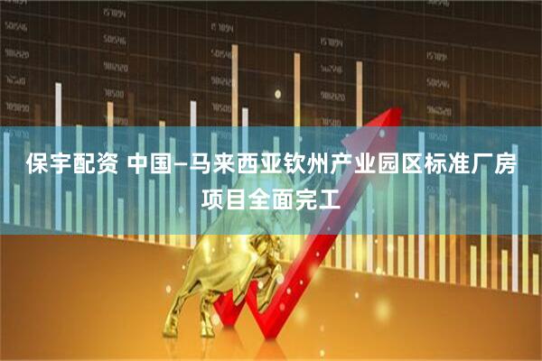 保宇配资 中国—马来西亚钦州产业园区标准厂房项目全面完工