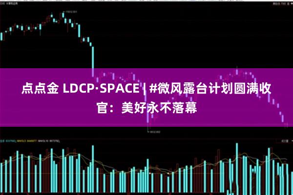 点点金 LDCP·SPACE | #微风露台计划圆满收官：美好永不落幕