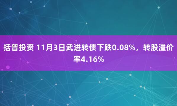 括普投资 11月3日武进转债下跌0.08%，转股溢价率4.16%