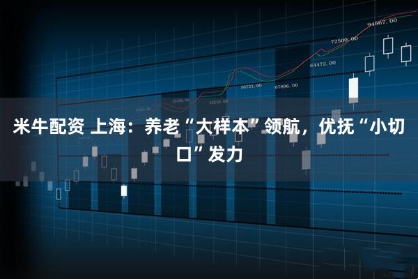 米牛配资 上海：养老“大样本”领航，优抚“小切口”发力